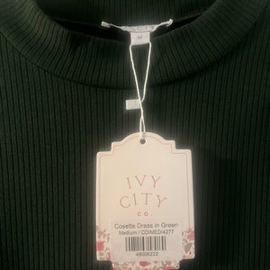 Size Medium Ivy City Co. Cosette dress in green